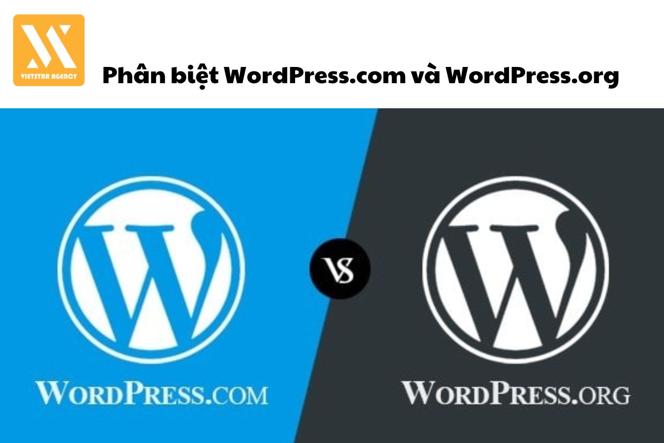 Phân biệt WordPress.com và WordPress.org