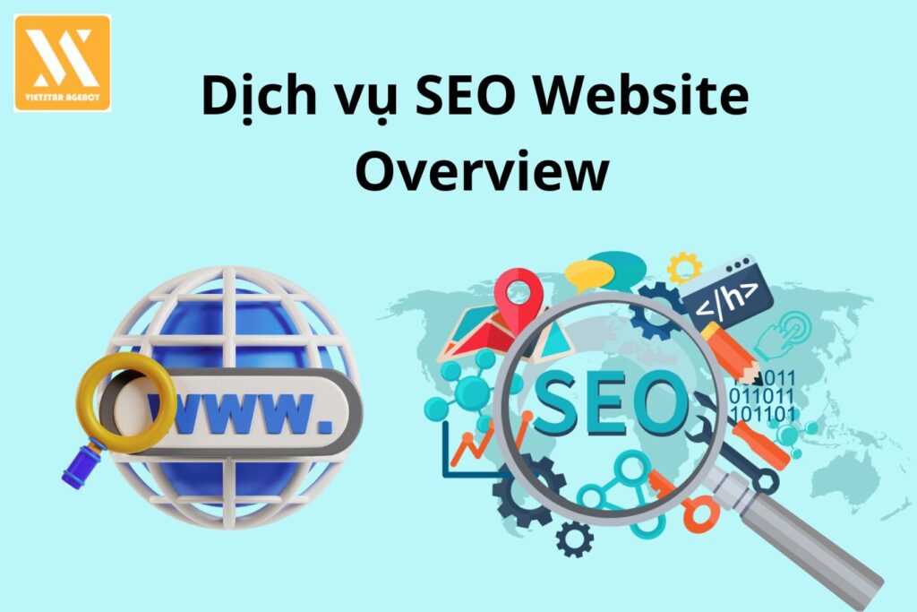 Dịch Vụ SEO Website Overview