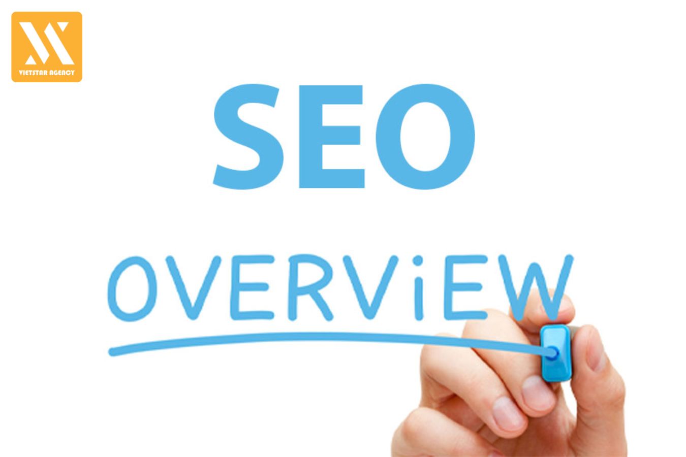 Dịch Vụ SEO Website Overview