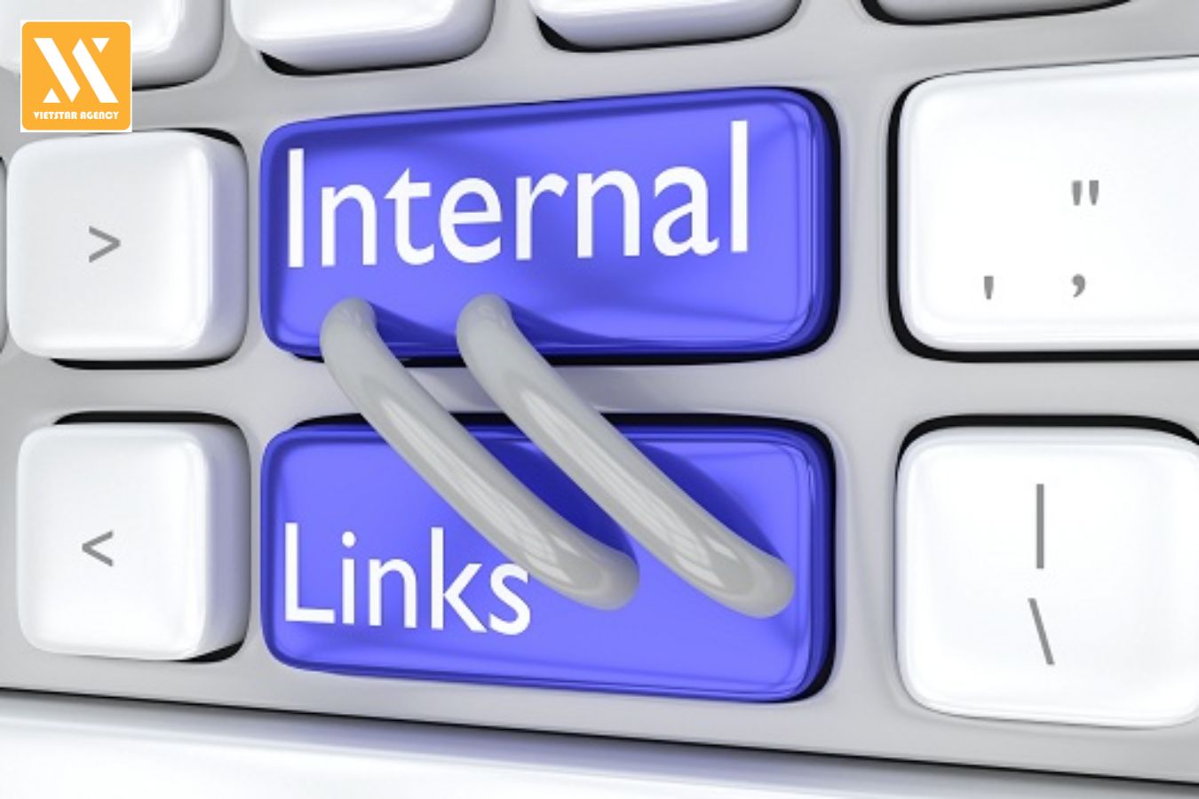 Cách Đi Internal Link