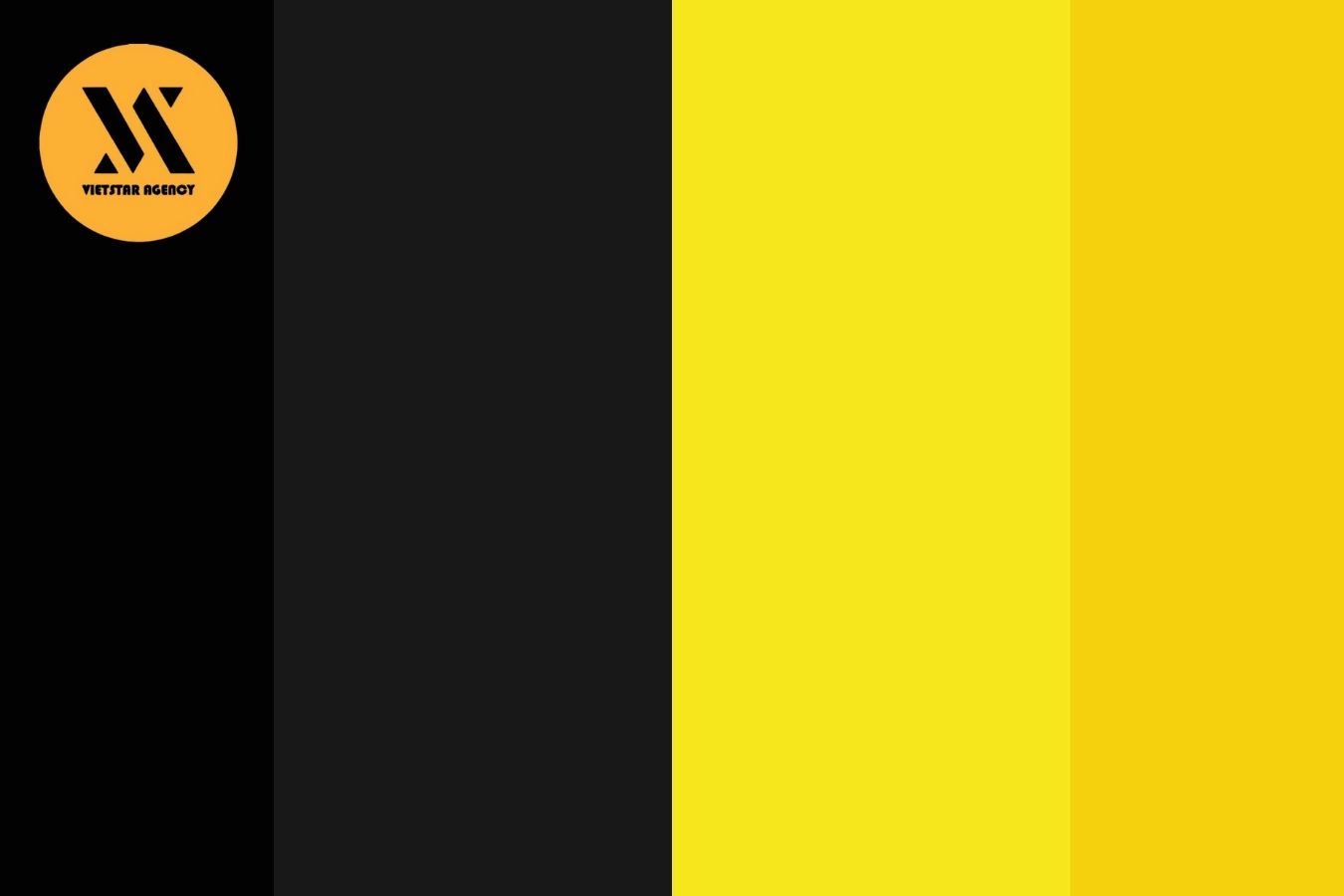 Yellow and black - Vietstar Agency